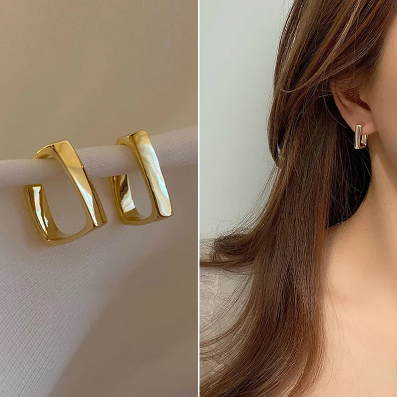European and American Fashion Earrings Geometric Metal Earrings Fashion Earrings Net Red New Trend Earrings
